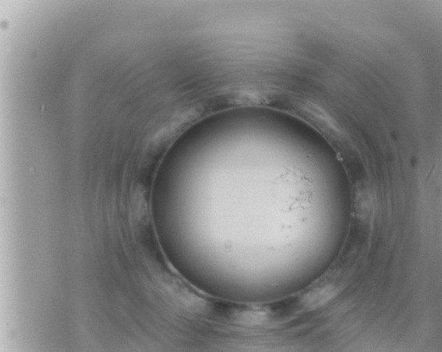 X0000073760318200608102052