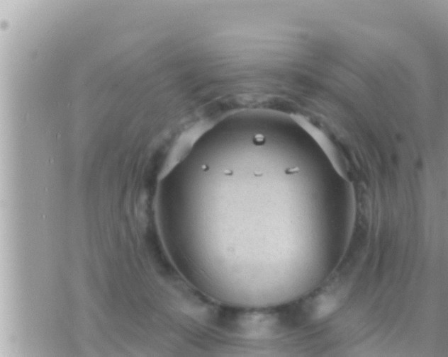 X0000073760319200608102052