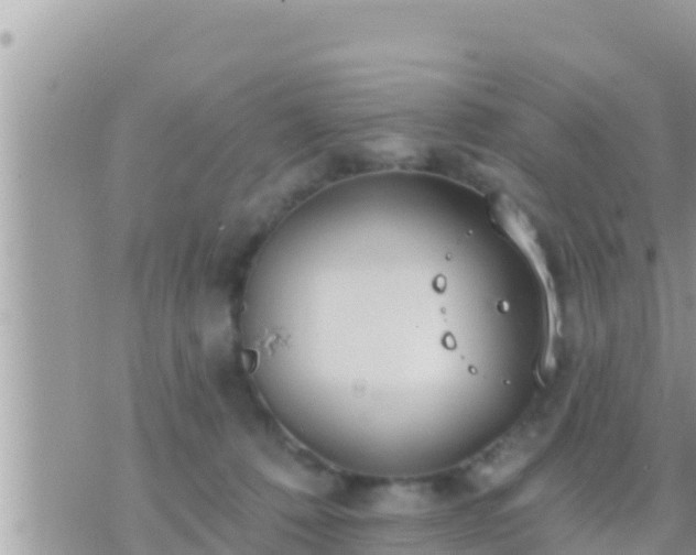 X0000073760320200608102052