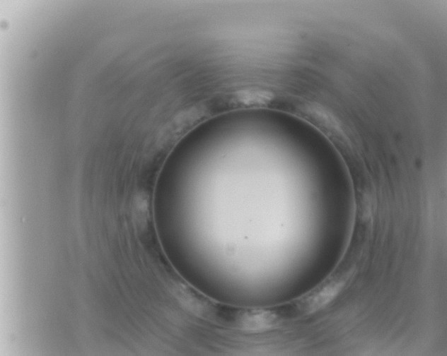 X0000073760321200608102052