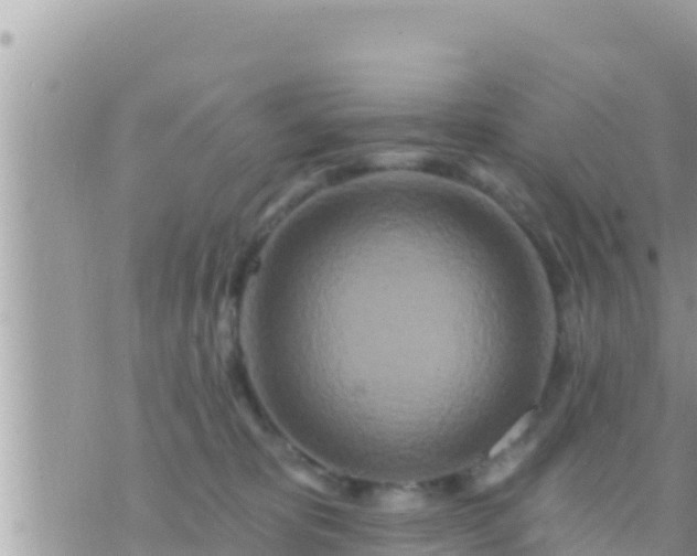 X0000073760325200608102052