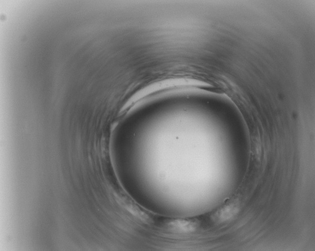 X0000073760326200608102052