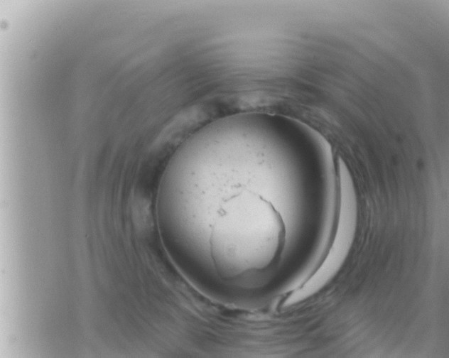 X0000073760327200608102052