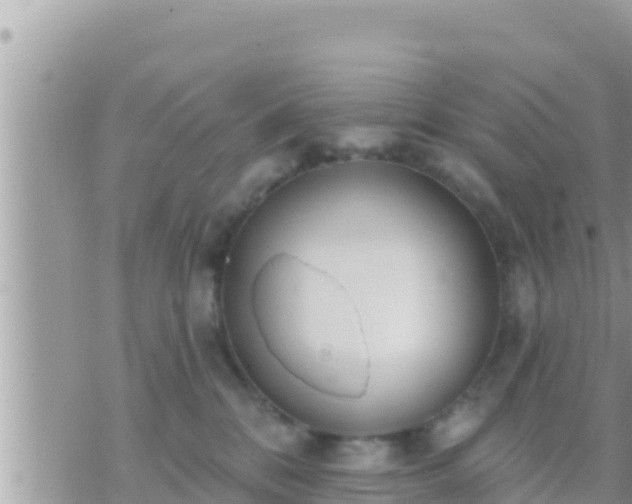 X0000073760328200608102052