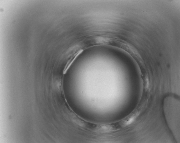 X0000073760329200608102052