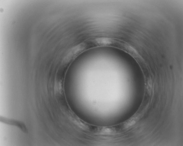 X0000073760330200608102052