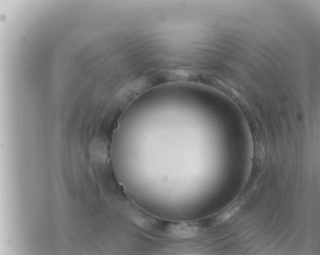 X0000073760331200608102052