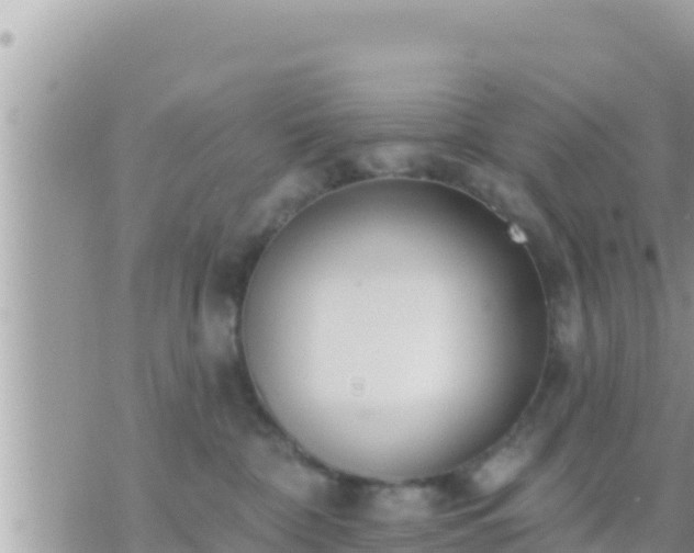 X0000073760332200608102052