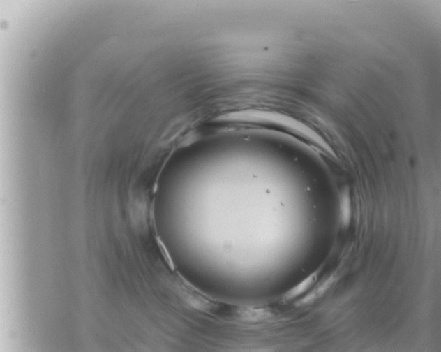 X0000073760333200608102052