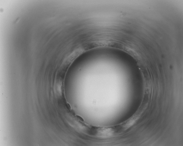 X0000073760334200608102052