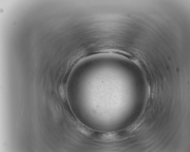 X0000073760335200608102052