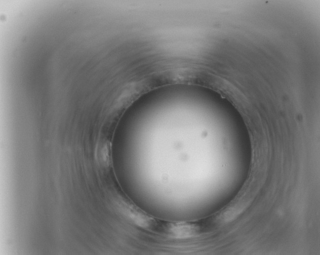 X0000073760336200608102052