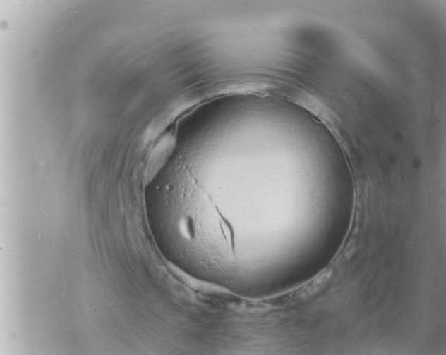 X0000073760337200608102051