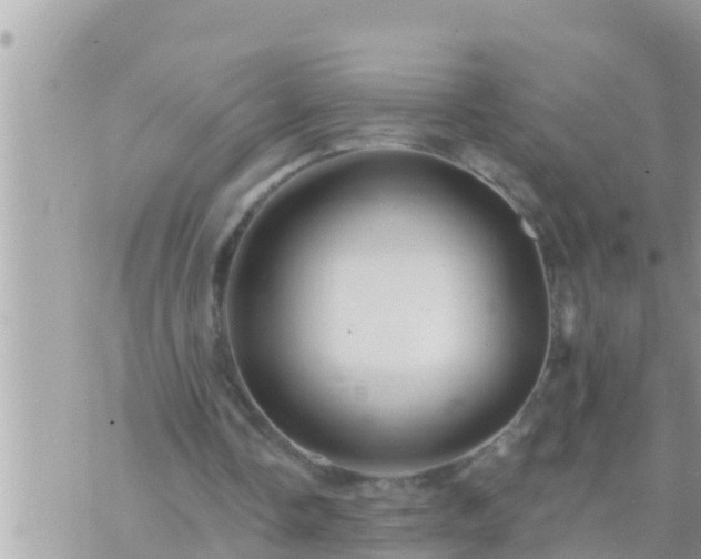 X0000073760338200608102051