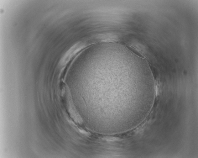 X0000073760339200608102051