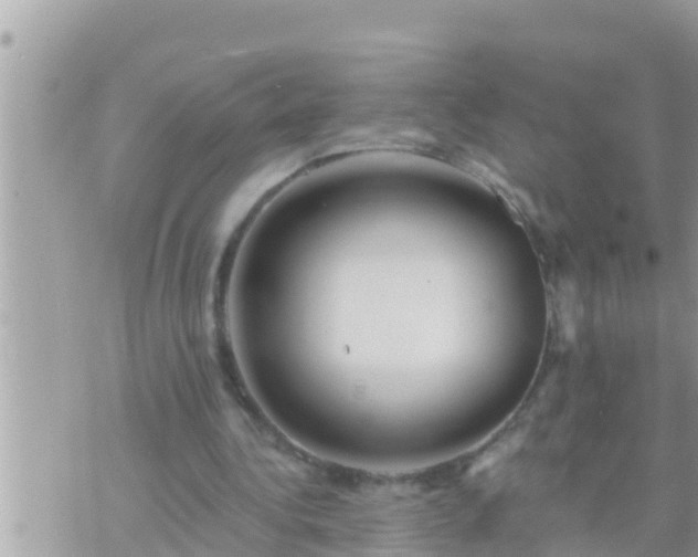 X0000073760340200608102051