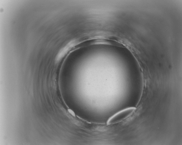 X0000073760341200608102051