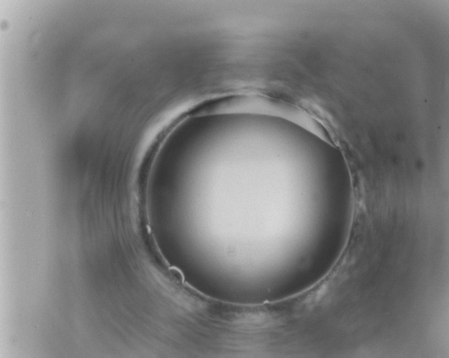 X0000073760342200608102051