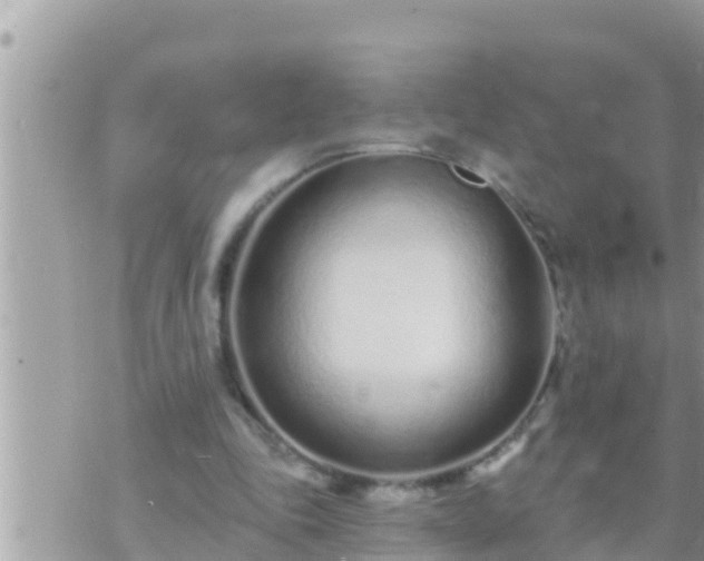 X0000073760343200608102051