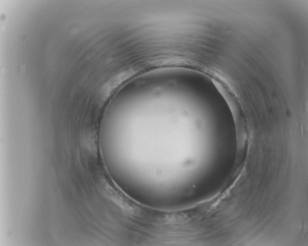 X0000073760345200608102051