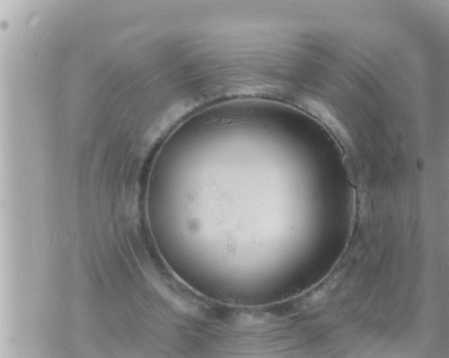 X0000073760346200608102051