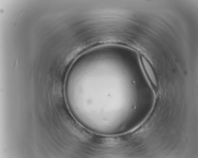 X0000073760347200608102051