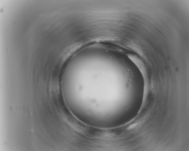 X0000073760348200608102051