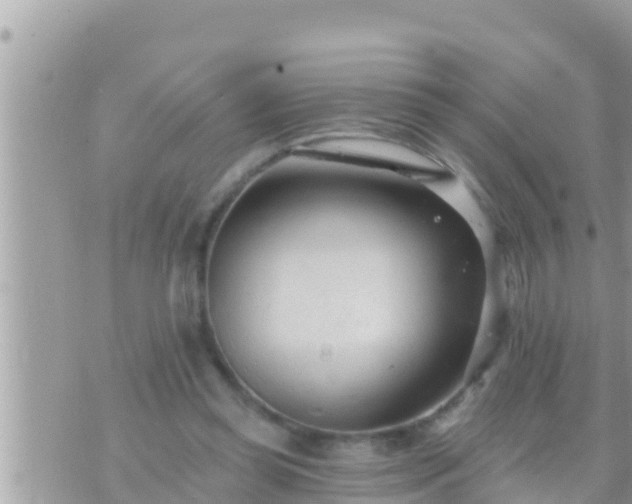 X0000073760349200608102051