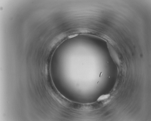 X0000073760350200608102051