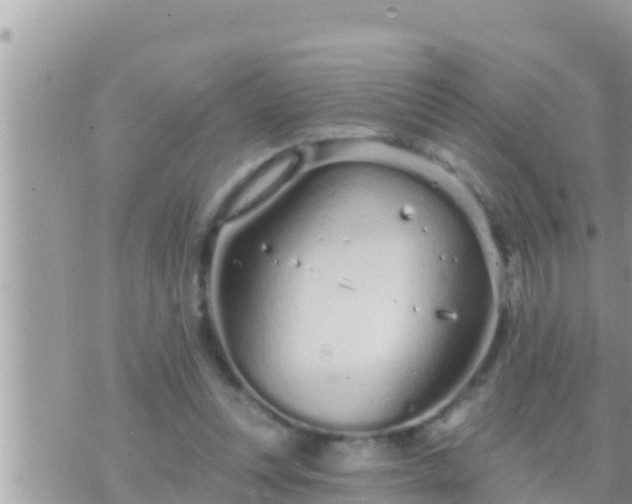 X0000073760351200608102051