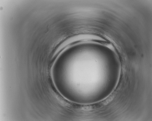 X0000073760353200608102051