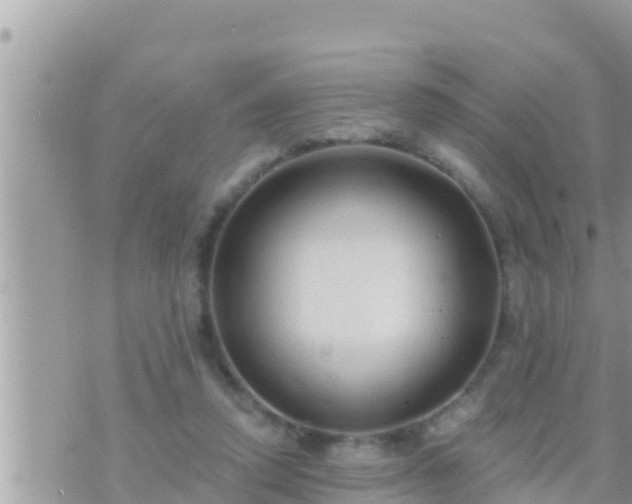 X0000073760354200608102051