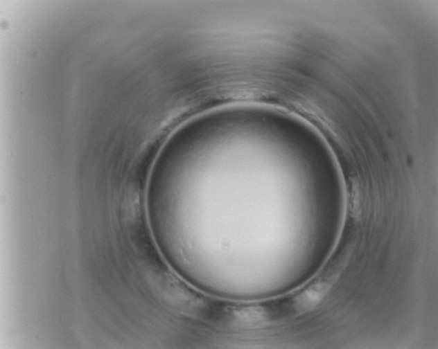 X0000073760355200608102051