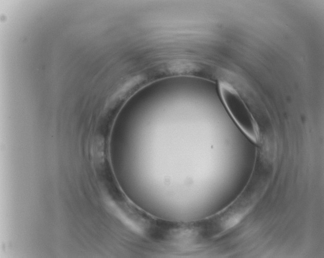 X0000073760356200608102051