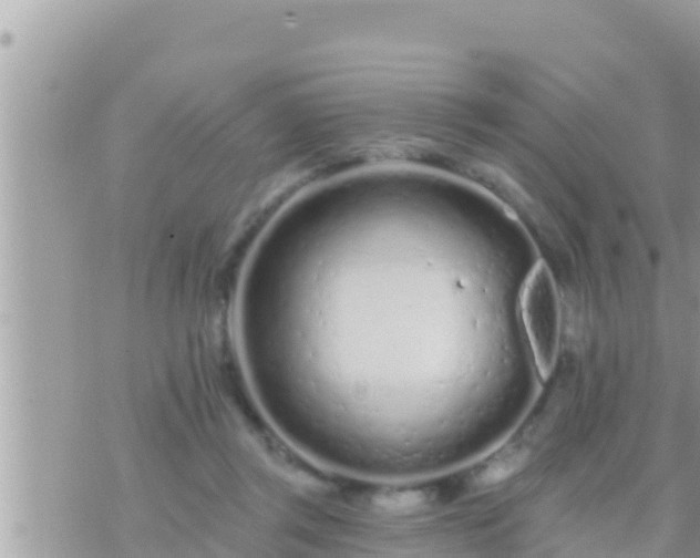 X0000073760357200608102051