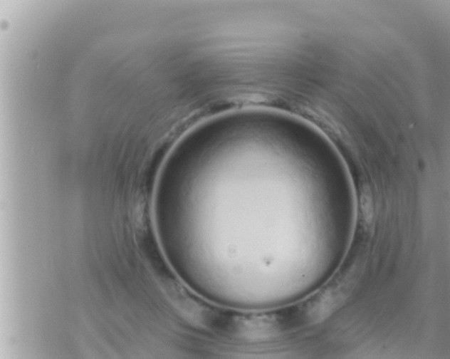 X0000073760359200608102051