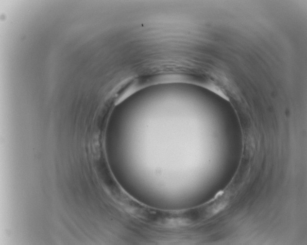 X0000073760360200608102051