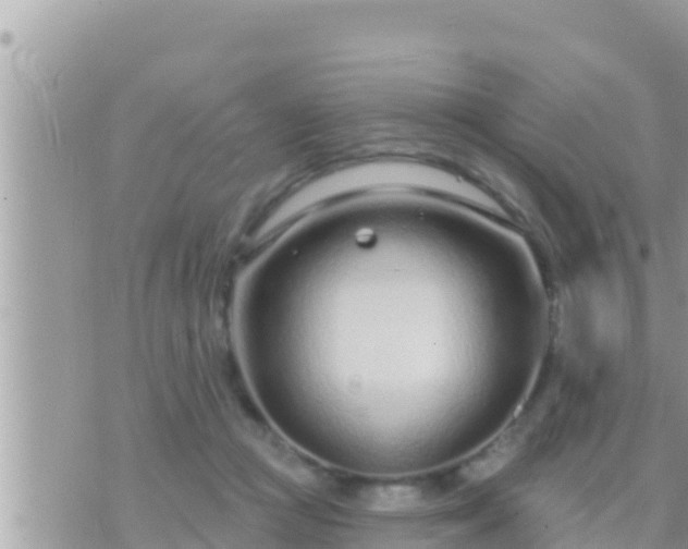 X0000073760361200608102051