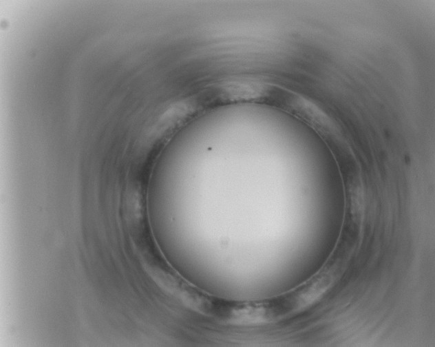 X0000073760362200608102051