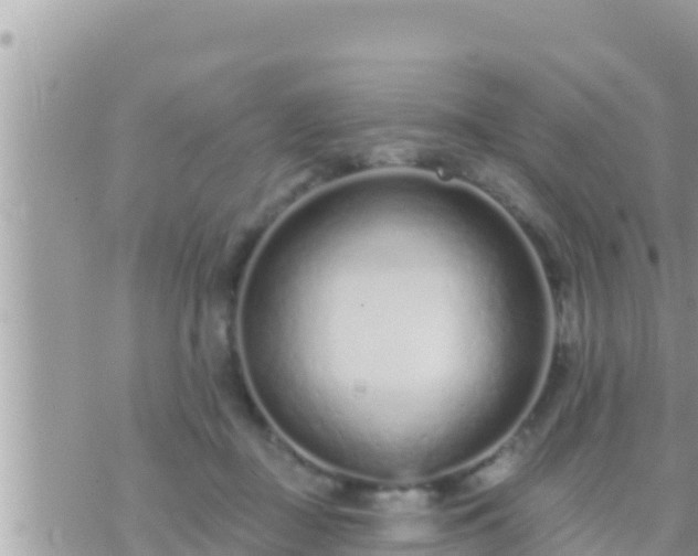 X0000073760363200608102051