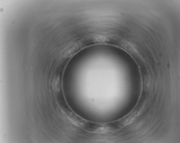 X0000073760364200608102051