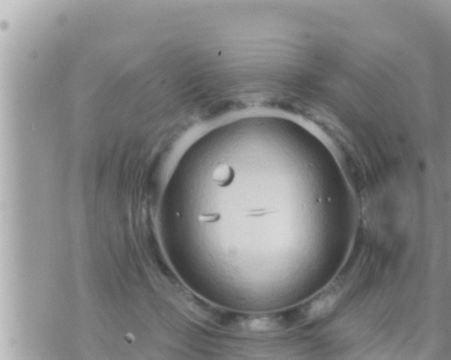 X0000073760365200608102051