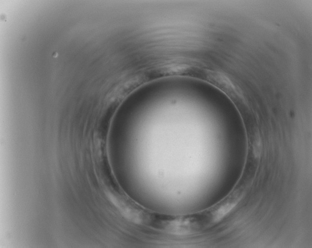 X0000073760366200608102051