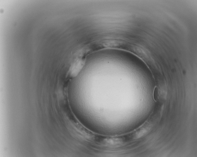 X0000073760367200608102051