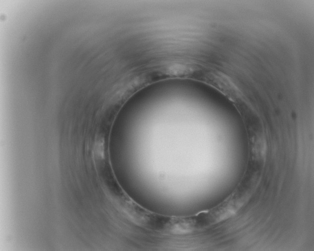 X0000073760368200608102051