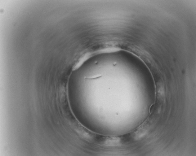 X0000073760369200608102051