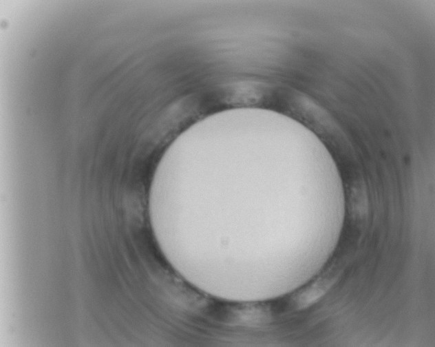 X0000073760370200608102051