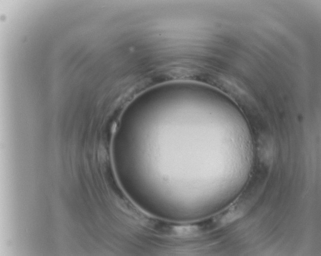 X0000073760371200608102051