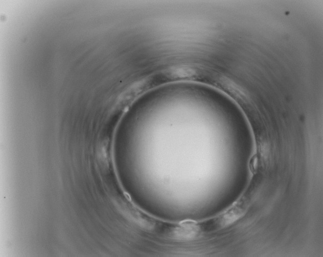 X0000073760373200608102051