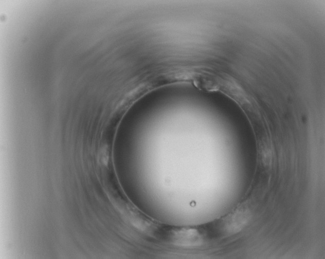 X0000073760374200608102051